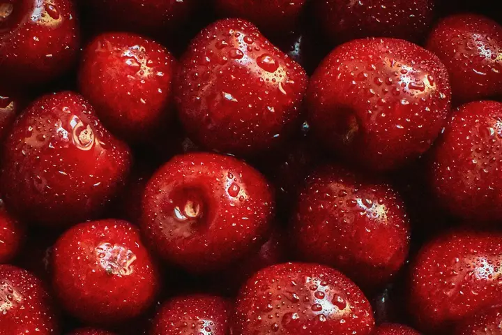 Cerezas con rocío recién cosechadas