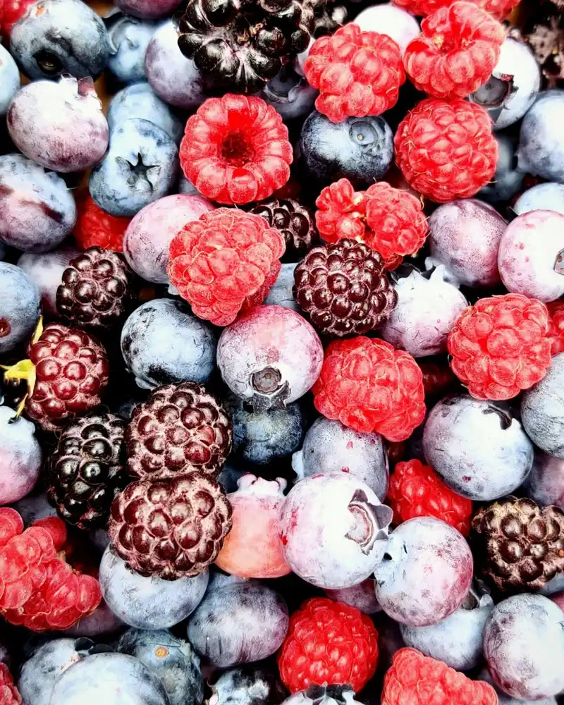 Frambuesas, moras y arándanos para congelar