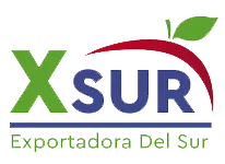 Xsur